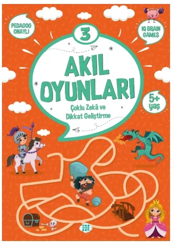 AKIL OYUNLARI 3