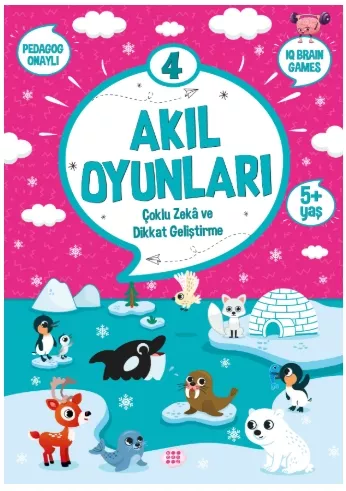 AKIL OYUNLARI 4