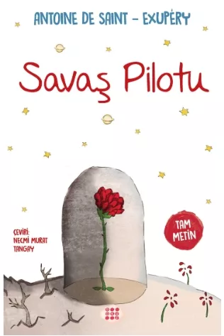 SAVAŞ PİLOTU