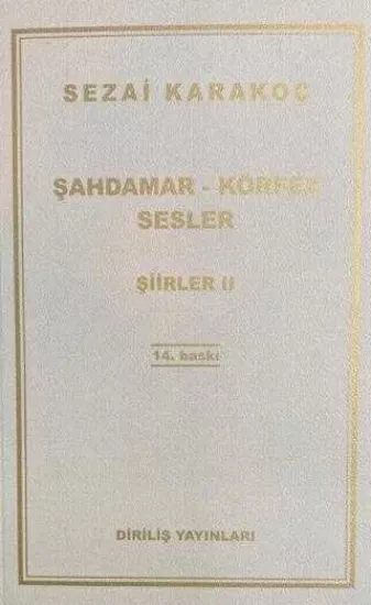 DİRİLİŞ YAYINLARI